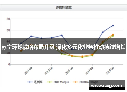 苏宁环球战略布局升级 深化多元化业务推动持续增长